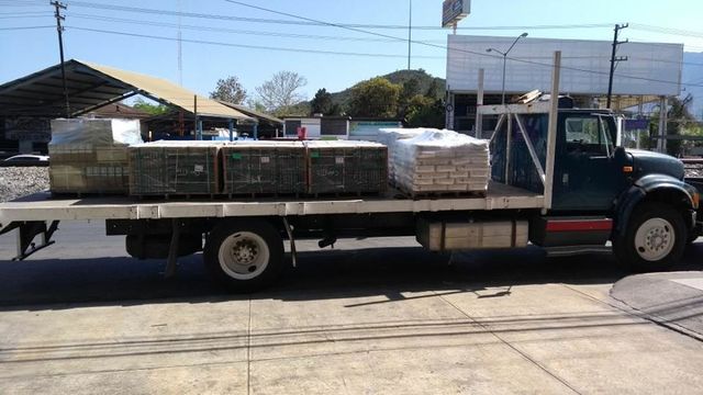 Torton 13T local y 9T foráneo